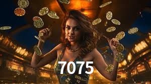 Bonus Features 7075